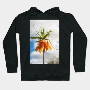 Orange flower against blue sky Hoodie